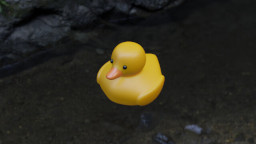 Duck, Duck_Thumb.jpg